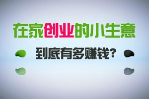 【2024.02.18】在家创业，日引300+创业粉，一年收入30万，闷声发财的小生意，比打工强百度网盘免费下载-芽米宝库