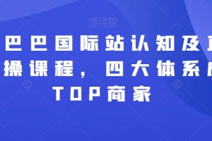 【2024.02.17】阿里巴巴国际站认知及直通车实操课程，四大体系成就TOP商家百度网盘免费下载-芽米宝库