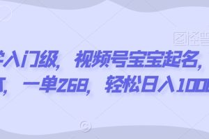 【2024.02.16】玄学入门级，视频号宝宝起名，0成本，一单268，轻松日入1000+百度网盘免费下载-芽米宝库