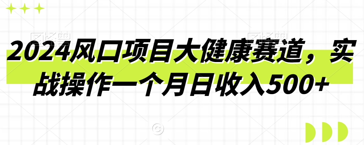 图片[1]-【2024.02.06】2024风口项目大健康赛道，实战操作一个月日收入500+百度网盘免费下载-芽米宝库
