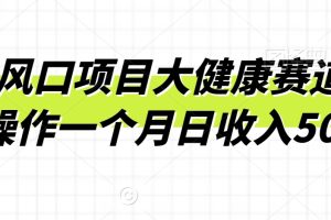 【2024.02.06】2024风口项目大健康赛道，实战操作一个月日收入500+百度网盘免费下载-芽米宝库