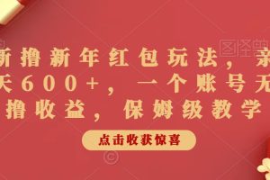 【2024.02.06】最新撸新年红包玩法，亲测一天600+，一个账号无限撸收益，保姆级教学百度网盘免费下载-芽米宝库