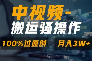【2024.02.06】无脑双重去重原创视频，100%中视频+视频号分成计划，一键多平台发布百度网盘免费下载-芽米宝库