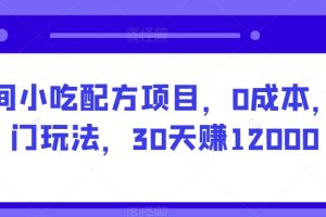 【2024.02.02】民间小吃配方项目，0成本，偏门玩法，30天赚12000百度网盘免费下载-芽米宝库