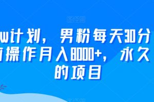 【2024.02.01】2024yw计划，男粉每天30分钟，无脑操作月入8000+，永久可做的项目百度网盘免费下载-芽米宝库