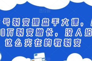 【2024.01.31】公众号裂变操盘手大课，从0到100万裂变增长，没人给你这么实在的教裂变百度网盘免费下载-芽米宝库
