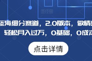 【2024.01.30】Soul蓝海细分赛道，2.0版本，做情感掘金，轻松月入过万，0基础，0成本百度网盘免费下载-芽米宝库
