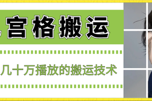 【2024.01.30】最新九宫格搬运，十秒一个作品，破了几十万播放的搬运技术百度网盘免费下载-芽米宝库