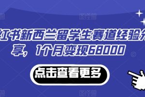【2024.01.29】小红书新西兰留学生赛道经验分享，1个月变现68000百度网盘免费下载-芽米宝库