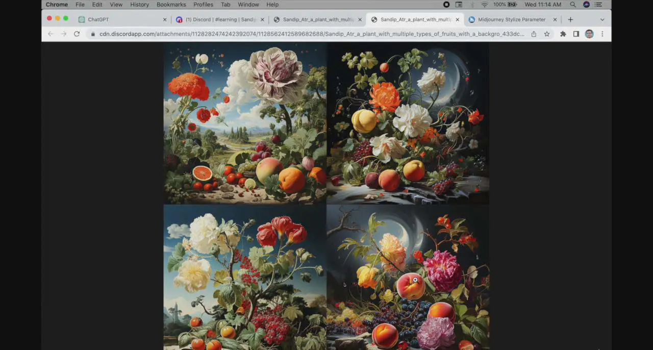 图片[3]-【2024.01.29】ChatGPT4 和 MidJourney AI 绘画聊天革命性指南教程-33节视频课-中英字幕百度网盘免费下载-芽米宝库
