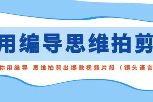 【2024.01.28】用编导的思维拍剪，教你用编导 思维拍剪出爆款视频片段（镜头语言）百度网盘免费下载-芽米宝库