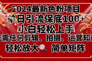 【2024.01.27】2024最新换脸项目，小白轻松上手，单号单月变现3W＋，可批量矩阵操作放大百度网盘免费下载-芽米宝库