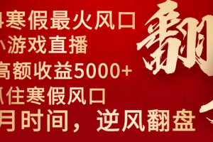 【2024.01.26】2024年最火寒假风口项目 小游戏直播 单场收益5000+抓住风口 一个月直接提车百度网盘免费下载-芽米宝库
