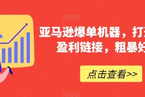 【2024.01.26】亚马逊爆单机器，打造巨额盈利链接，粗暴好用百度网盘免费下载-芽米宝库
