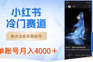 【2024.01.24】小红书冷门赛道，夜光治愈系壁纸号，单号月入4000＋百度网盘免费下载-芽米宝库