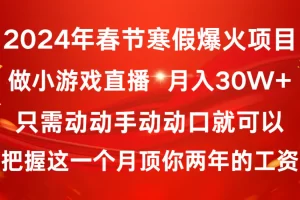 【2024.01.22】2024年春节寒假爆火项目，普通小白如何通过小游戏直播做到月入30W+百度网盘免费下载-芽米宝库