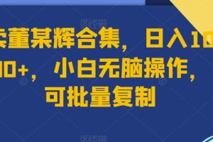 【2024.01.22】卖董某辉合集，日入1000+，小白无脑操作，可批量复制百度网盘免费下载-芽米宝库
