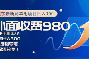 【2024.01.22】京东最新薅羊毛项目，小白怎么做到日入300+，一部手机半小时搞定百度网盘免费下载-芽米宝库