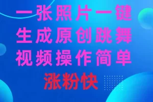 【2024.01.20】一张照片，一键生成原创跳舞视频 操作简单涨粉快百度网盘免费下载-芽米宝库