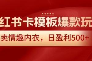 【2024.01.20】小红书卡模板爆款玩法，售卖情趣内衣，日盈利500+百度网盘免费下载-芽米宝库