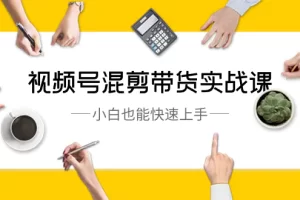 【2024.01.20】视频号-混剪带货实战课，小白也能快速上手（10节课）百度网盘免费下载-芽米宝库