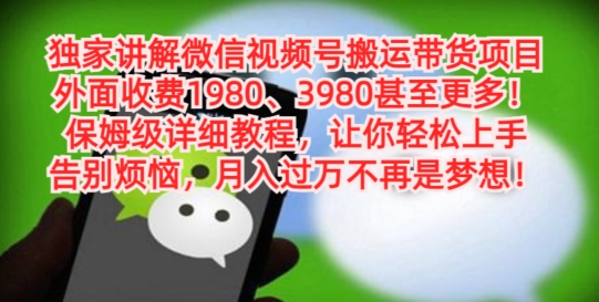 图片[1]-【2024.01.19】独家讲解微信视频号搬运带货项目，保姆级详细教程百度网盘免费下载-芽米宝库