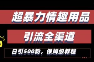 【2024.01.17】最新情趣项目引流全渠道，自带高流量，保姆级教程，轻松破百单，日引500+粉百度网盘免费下载-芽米宝库