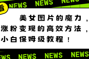 【2024.01.16】美女图片的魔力，涨粉变现的高效方法，小白保姆级教程！百度网盘免费下载-芽米宝库