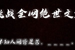 【2024.01.16】视频号小众玩法，文笔挑战，互动拉满，轻松赚取分成收益！小白也可当天上手百度网盘免费下载-芽米宝库