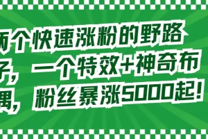 【2024.01.15】两个快速涨粉的野路子，一个特效+神奇布偶，粉丝暴涨5000起！百度网盘免费下载-芽米宝库
