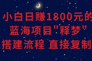 【2024.01.12】小白能日赚1800元的蓝海项目，”释梦”0-1搭建流程，可直接复制粘贴，长期操作百度网盘免费下载-芽米宝库