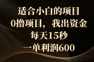 【2024.01.12】适合小白的项目，0撸项目，我出资金，每天15秒，一单利润600百度网盘免费下载-芽米宝库