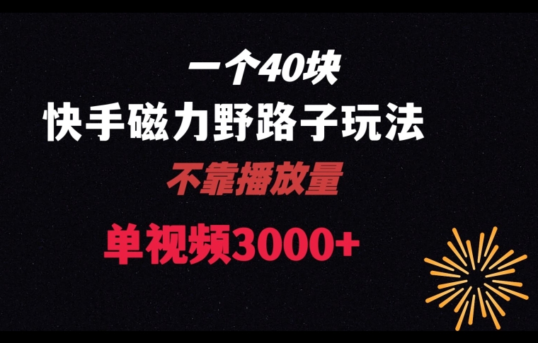 图片[1]-【2024.01.12】一个40块，快手联合美团磁力新玩法，无视机制野路子玩法，单视频收益4位数百度网盘免费下载-芽米宝库