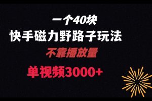 【2024.01.12】一个40块，快手联合美团磁力新玩法，无视机制野路子玩法，单视频收益4位数百度网盘免费下载-芽米宝库