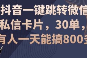 【2024.01.11】抖音一键跳转微信私信卡片，30一单，一天能搞800多百度网盘免费下载-芽米宝库