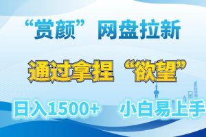 【2024.01.10】“赏颜”网盘拉新赛道，通过拿捏“欲望”日入1500+，小白易上手百度网盘免费下载-芽米宝库