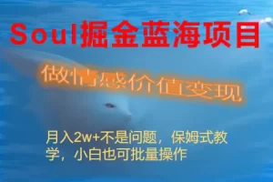【2024.01.09】Soul掘金蓝海项目细分赛道，做情感价值变现，月入2w+不是问题百度网盘免费下载-芽米宝库