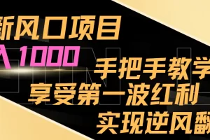【2024.01.09】最新风口项目，日入过千，抓住当下风口，享受第一波红利，实现逆风翻盘百度网盘免费下载-芽米宝库