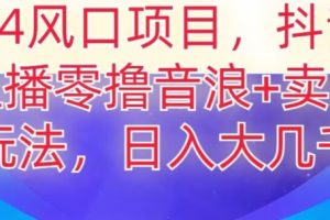 【2024.01.09】2024风口项目，抖音无人主播撸音浪+卖课程玩法，日入大几千百度网盘免费下载-芽米宝库