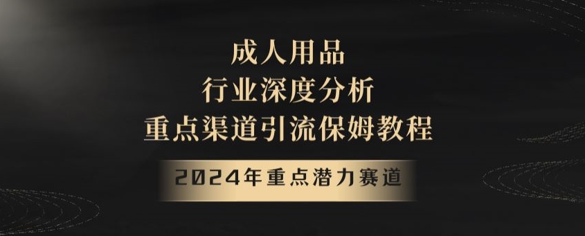图片[1]-【2024.01.08】2024年重点潜力赛道，成人用品行业深度分析，重点渠道引流保姆教程百度网盘免费下载-芽米宝库