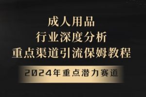【2024.01.08】2024年重点潜力赛道，成人用品行业深度分析，重点渠道引流保姆教程百度网盘免费下载-芽米宝库