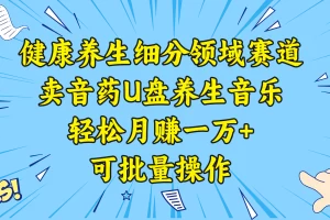 【2024.01.07】健康养生细分领域赛道，卖音药U盘养生音乐，轻松月赚一万+，可批量操作百度网盘免费下载-芽米宝库