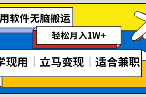 【2024.01.07】低密度新赛道 视频无脑搬 一天1000+几分钟一条原创视频 零成本零门槛超简单百度网盘免费下载-芽米宝库