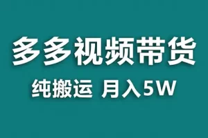 【2024.01.07】【蓝海项目】拼多多视频带货 纯搬运一个月搞了5w佣金，小白也能操作 送工具百度网盘免费下载-芽米宝库