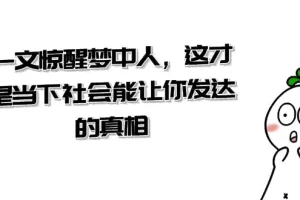 【2024.01.06】某公众号付费文章《一文 惊醒梦中人，这才是当下社会能让你发达的真相》百度网盘免费下载-芽米宝库