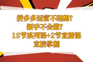 【2024.01.06】拼多多运营不理想？新手不会做？15节系列课+2节直播课，直接掌握百度网盘免费下载-芽米宝库