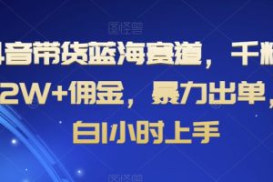 【2024.01.04】抖音带货蓝海赛道，千粉账号2W+佣金，暴力出单，小白1小时上手百度网盘免费下载-芽米宝库