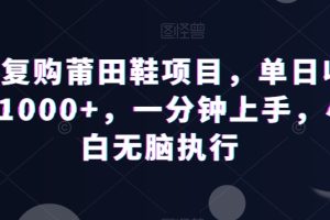 【2024.01.04】高复购莆田鞋项目，单日收益1000+，一分钟上手，小白无脑执行百度网盘免费下载-芽米宝库