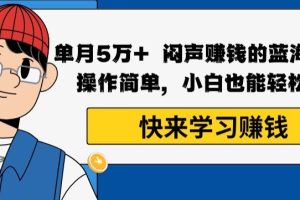 【2024.01.03】单月5万+闷声赚钱的蓝海项目，操作简单，小白也能轻松上手百度网盘免费下载-芽米宝库