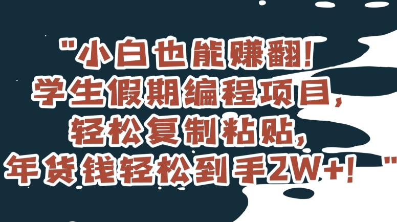 图片[1]-【2024.01.03】小白也能赚翻！学生假期编程项目，轻松复制粘贴，年货钱轻松到手2W+百度网盘免费下载-芽米宝库